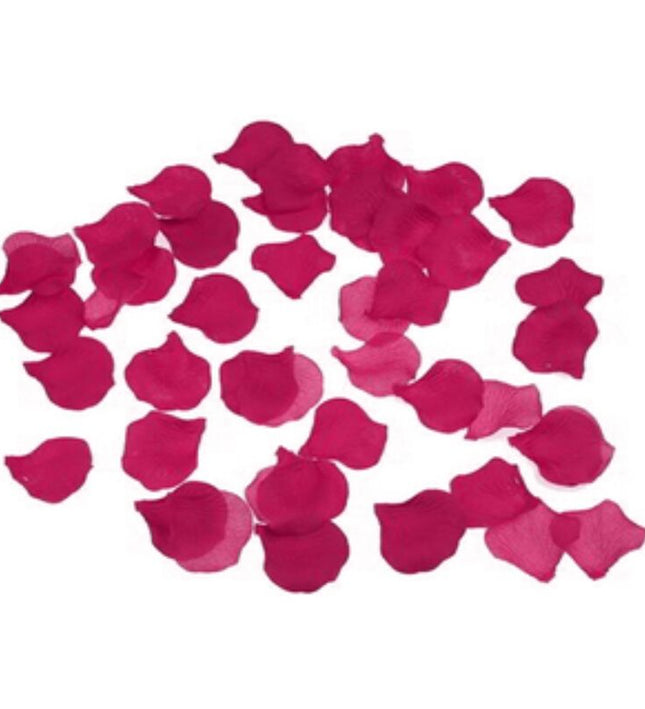 DIABLO PICANTE - 100 FUCHSIA PETALS