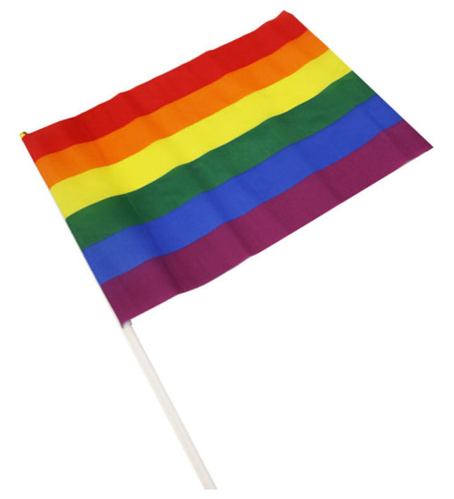 PRIDE - LGBT FLAG MEDIUM PENNANT