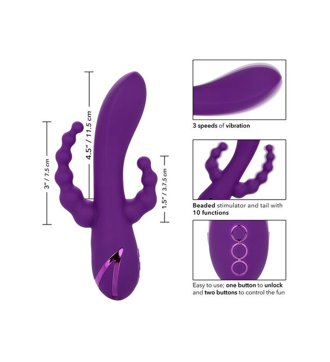 CALEXOTICS - LONG BEACH BOOTYLICIOUS PURPLE