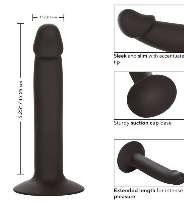 CALEXOTICS - SLIM ANAL STUD