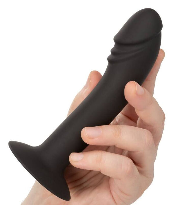 CALEXOTICS - CURVED ANAL STUD