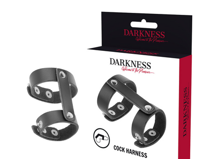 DARKNESS - LEATHER ADJUSTABLE PENIS AND TESTICLE RING