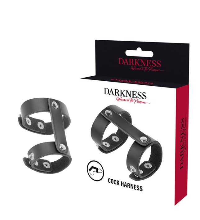 DARKNESS - LEATHER ADJUSTABLE PENIS AND TESTICLE RING