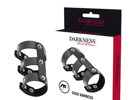 DARKNESS - ADJUSTABLE LEATHER DOUBLE PENIS AND TESTICLE RING