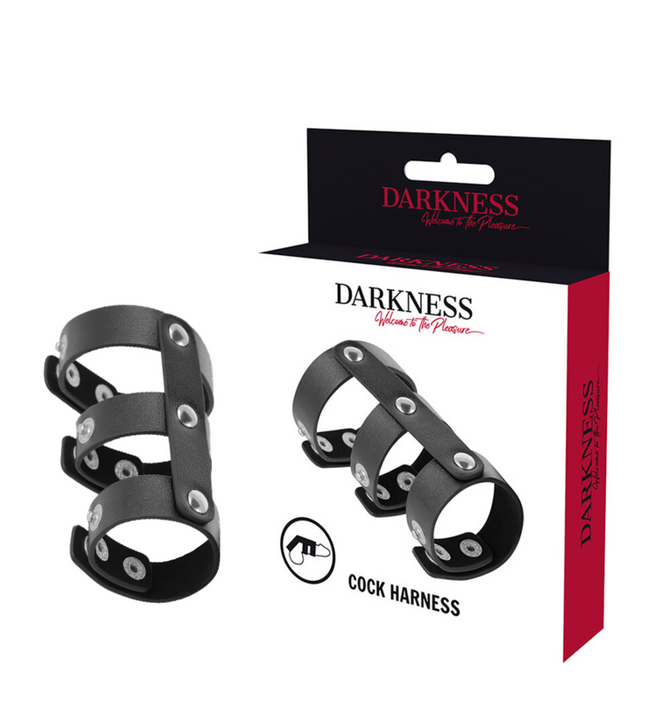 DARKNESS - ADJUSTABLE LEATHER DOUBLE PENIS AND TESTICLE RING
