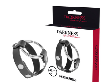 DARKNESS - BDSM COCK AND TESTICLE RING