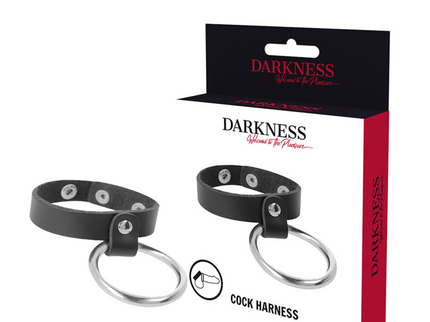 DARKNESS - METAL RING FOR THE PENIS AND TESTICLES