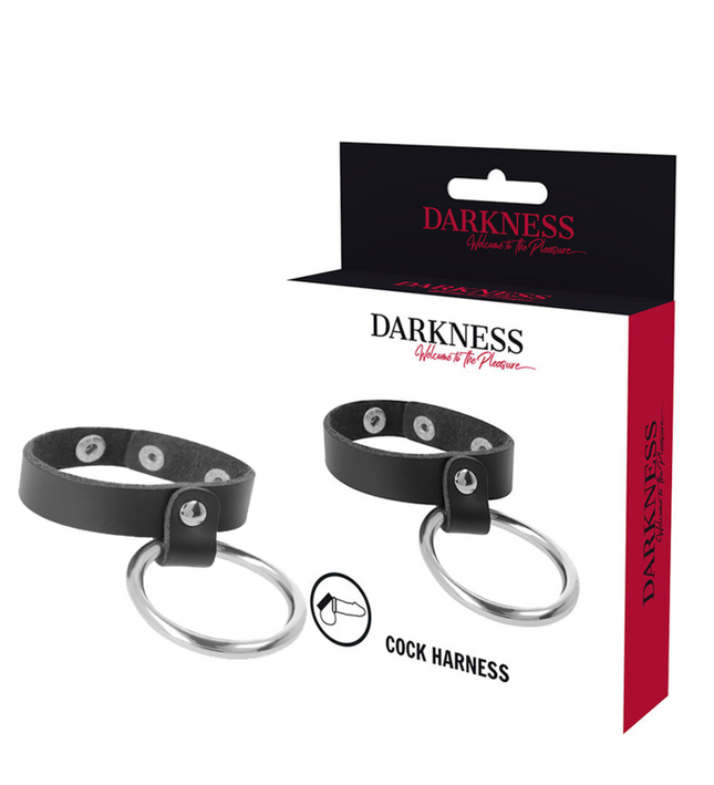 DARKNESS - METAL RING FOR THE PENIS AND TESTICLES