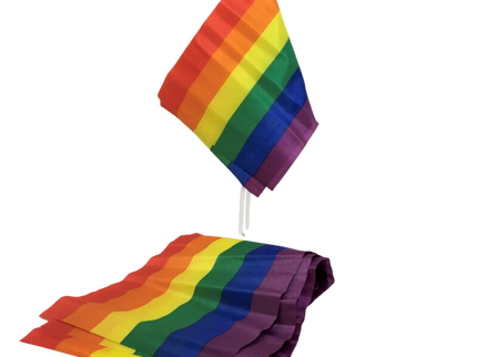 PRIDE - LGBT FLAG SMALL FLAG BANNER