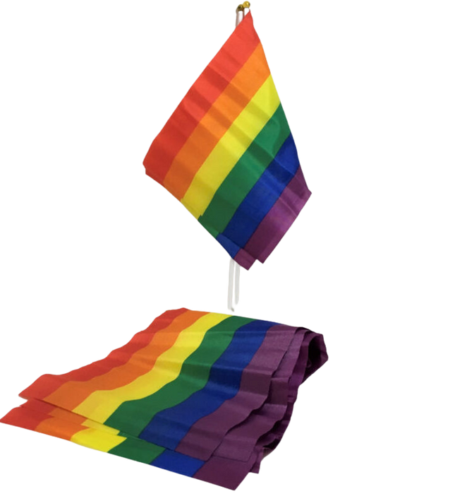 PRIDE - LGBT FLAG SMALL FLAG BANNER