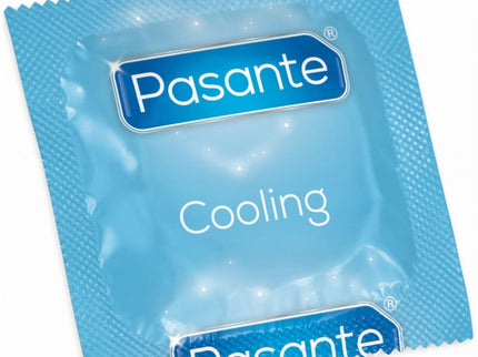 PASANTE - CONDOMS COOLING EFFECT BAG 144 UNITS