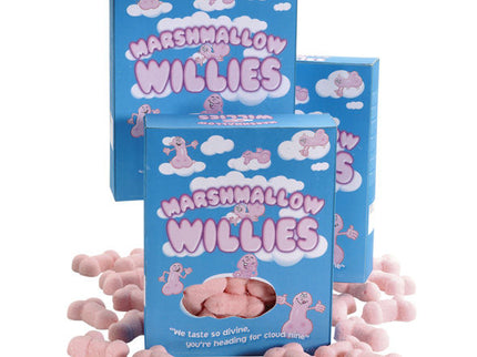 SPENCER & FLEETWOOD - SWEET CLOUDS IN THE SHAPE OF A PENIS