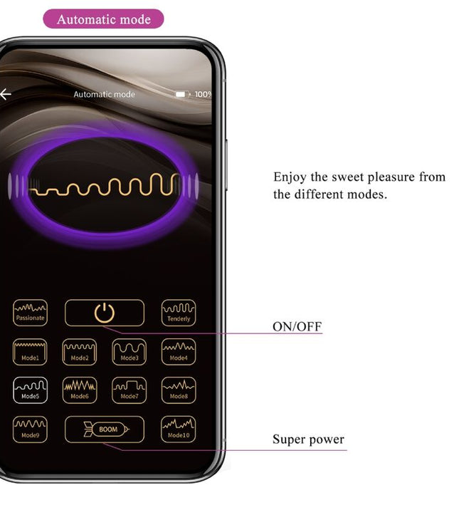 PRETTY LOVE - ELVIRA KEGEL BALLS APP REMOTE CONTROL PURPLE