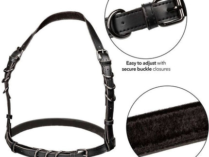 CALEXOTICS - EUPHORIA HALTER BUCKLE HARNESS BLACK