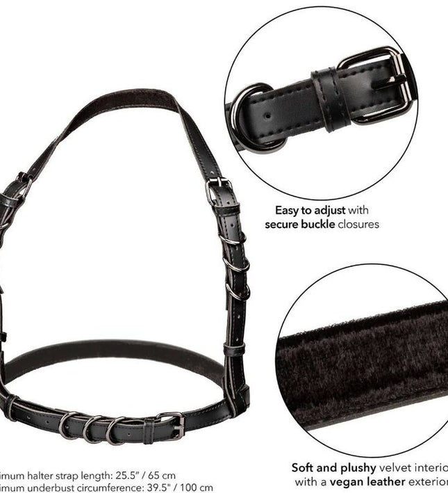 CALEXOTICS - EUPHORIA HALTER BUCKLE HARNESS BLACK