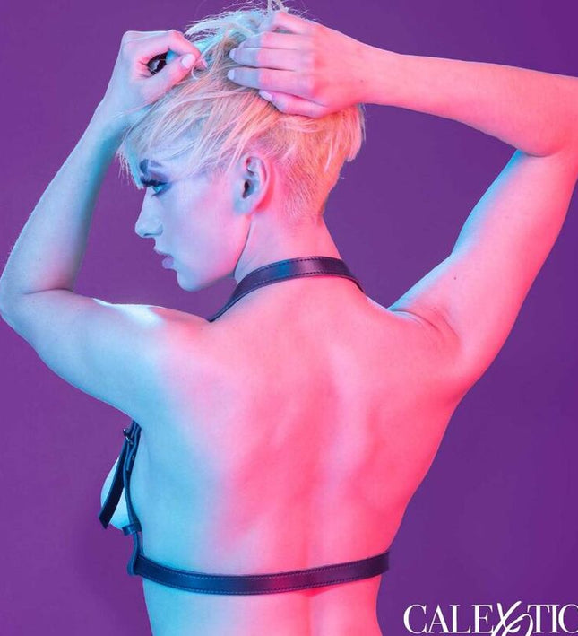 CALEXOTICS - EUPHORIA HALTER BUCKLE HARNESS BLACK