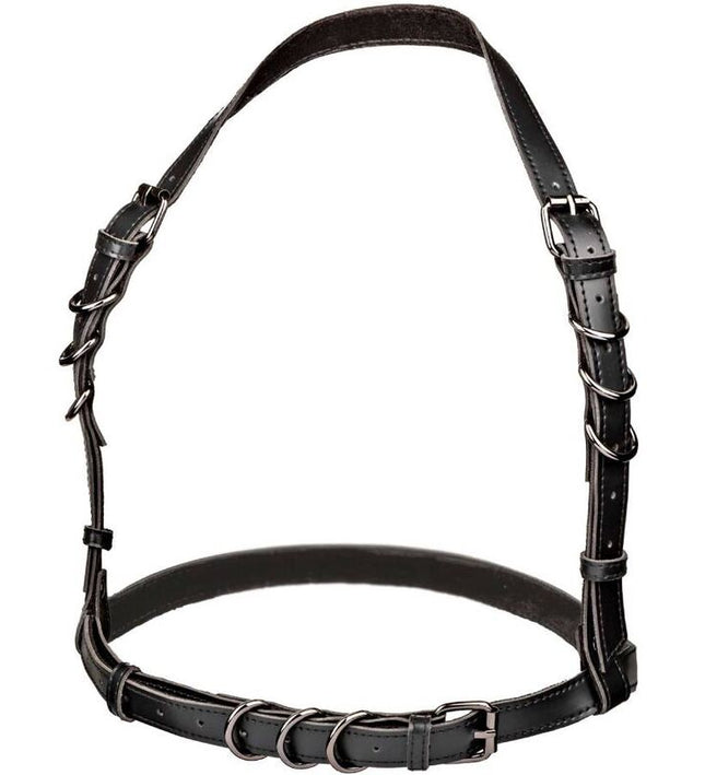 CALEXOTICS - EUPHORIA PLUS SIZE HALTER BUCKLE HARNESS BLACK