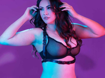 CALEXOTICS - EUPHORIA PLUS SIZE HALTER BUCKLE HARNESS BLACK