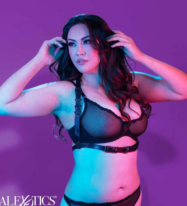 CALEXOTICS - EUPHORIA PLUS SIZE HALTER BUCKLE HARNESS BLACK