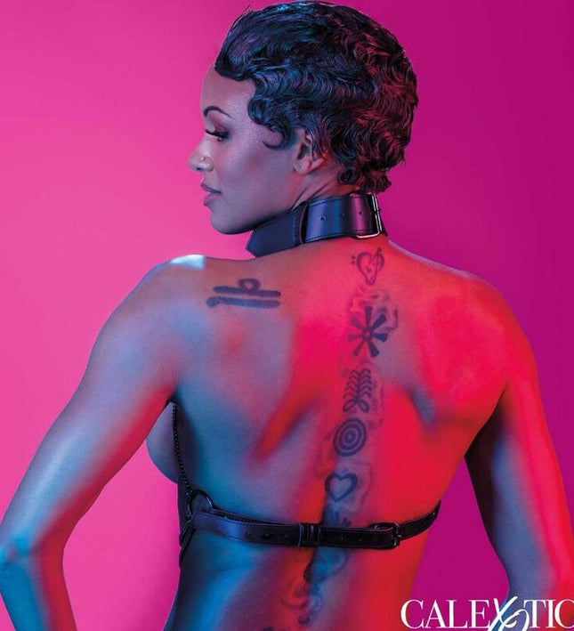 CALEXOTICS - EUPHORIA MULTI CHAIN COLLAR HARNESS