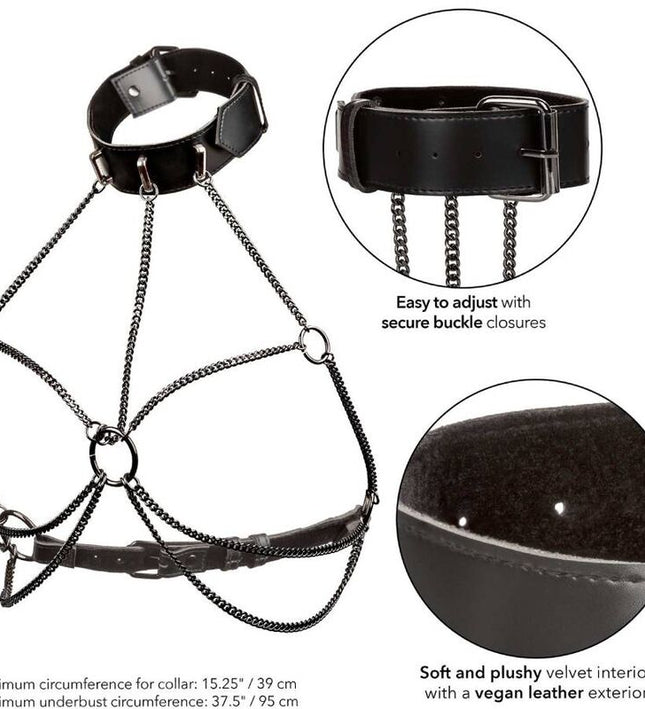 CALEXOTICS - EUPHORIA MULTI CHAIN COLLAR HARNESS