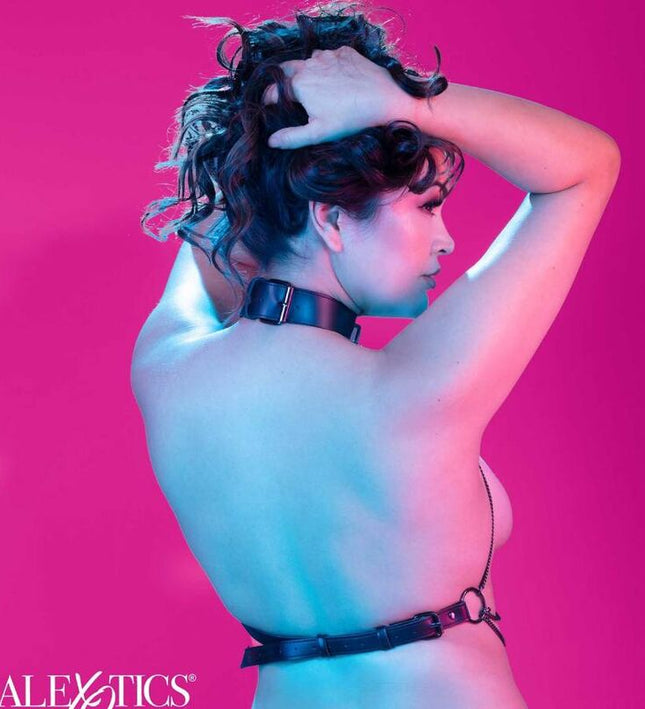 CALEXOTICS - EUPHORIA PLUS SIZE MULTI CHAIN COLLAR HARNESS