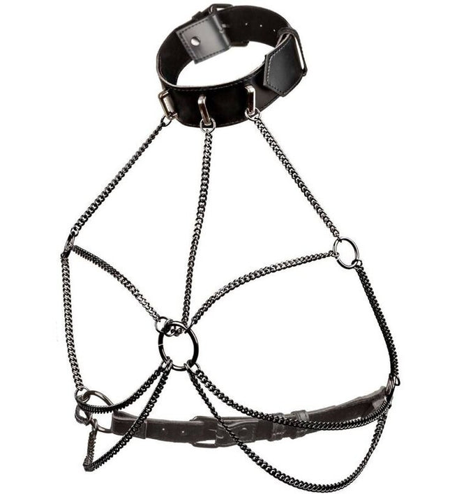 CALEXOTICS - EUPHORIA PLUS SIZE MULTI CHAIN COLLAR HARNESS
