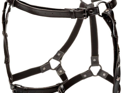 CALEXOTICS - EUPHORIA RIDING THIGH HARNESS