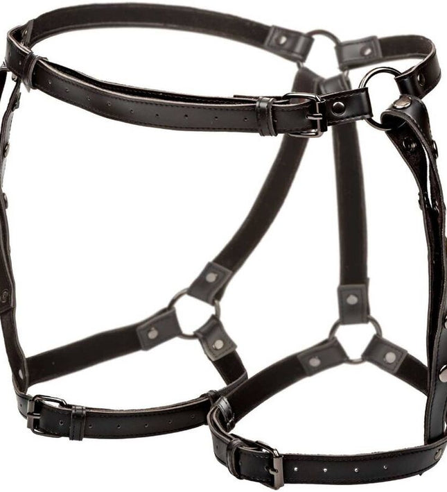 CALEXOTICS - EUPHORIA PLUS SIZE RIDING THIGH HARNESS