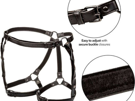 CALEXOTICS - EUPHORIA PLUS SIZE RIDING THIGH HARNESS