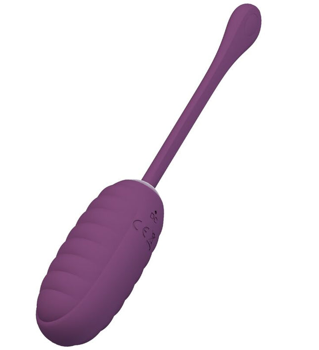 PRETTY LOVE - CASPER PURPLE RECHARGEABLE VIBRATING EGG