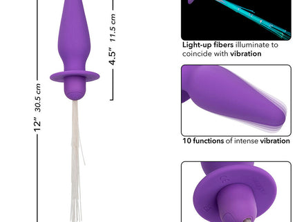 CALEXOTICS - SOUTHERN LIGHTS LIGHT UP ANAL PLUG 10 VIBRATIONS SILICONE PURPLE