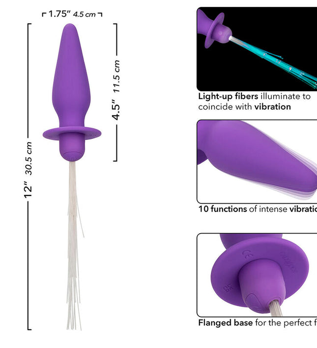 CALEXOTICS - SOUTHERN LIGHTS LIGHT UP ANAL PLUG 10 VIBRATIONS SILICONE PURPLE