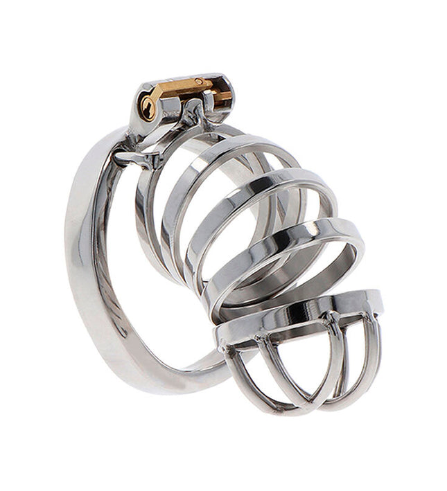 HIDDEN DESIRE - EXTREME CHASTITY COCK CAGE METAL