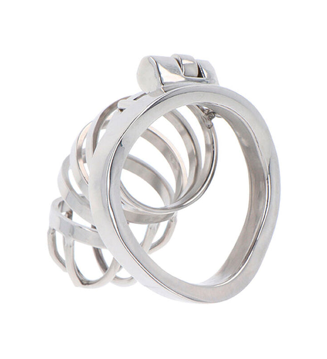 HIDDEN DESIRE - EXTREME CHASTITY COCK CAGE METAL