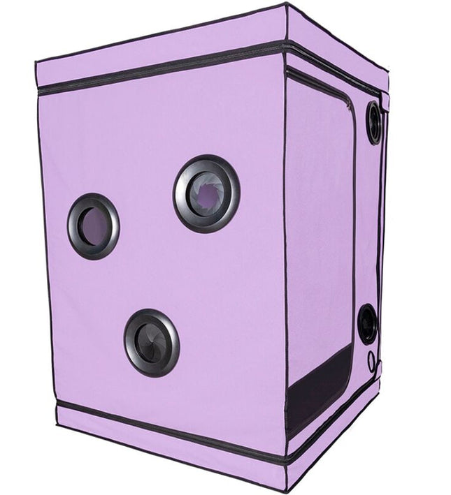 SECRET DOME - KINK CLUB CABIN SCANDALE PURPLE