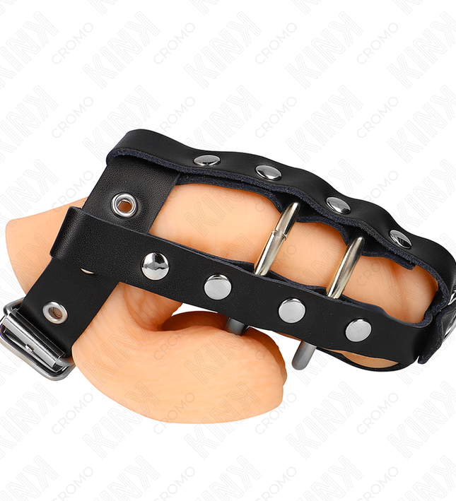 KINK - ADJUSTABLE PENIS CAGE WITH LOCK