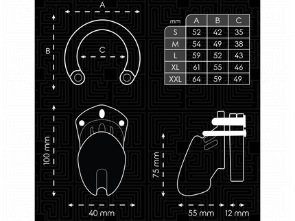 ADDICTED TOYS LOCKED - FORBIDDEN VAULT PENIS CAGE 10 CM