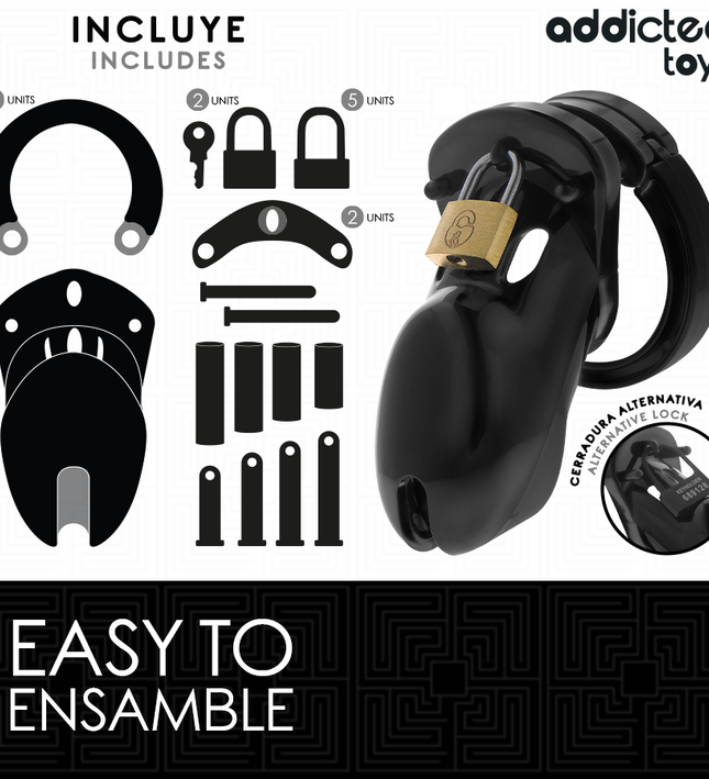 ADDICTED TOYS LOCKED - FORBIDDEN VAULT PENIS CAGE 10 CM