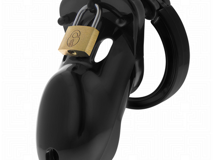 ADDICTED TOYS LOCKED - FORBIDDEN VAULT PENIS CAGE 10 CM