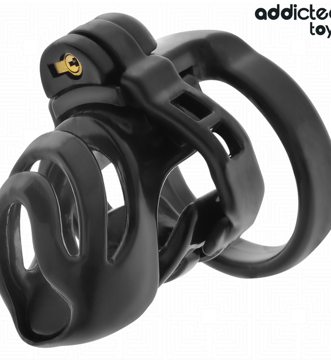 ADDICTED TOYS LOCKED - ETERNAL LOCK PENIS CAGE 9 CM