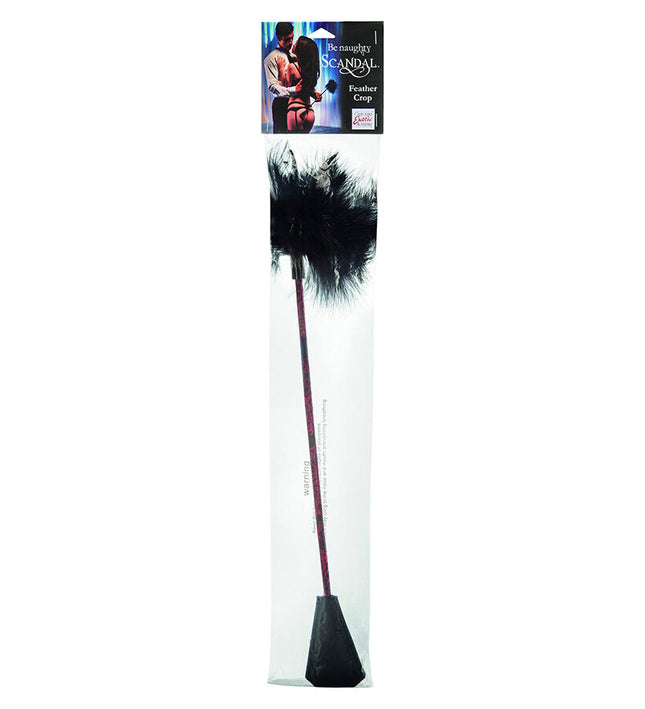 CALEXOTICS - SCANDAL BLACK FEATHER WHIP