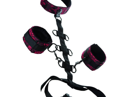 CALEXOTICS - SCANDAL COMPORAL SUPPORT WITH NECK