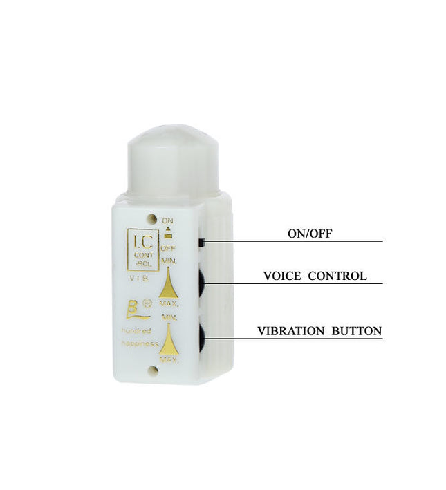 BAILE - MR BIG REALISTIC PENIS AND ANUS MASTURBATOR