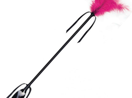 SECRETPLAY - BLACK AND FUCHSIA WHIP & FEATHER