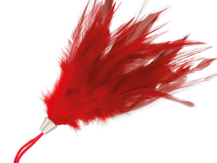 DARKNESS - RED STIMULATING PEN 17CM