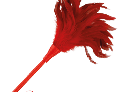 DARKNESS - RED STIMULATING PEN 24CM