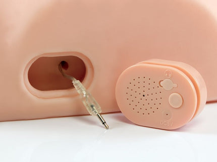 PDX MALE -  INTERACTIVE FUCK HIM SILLY