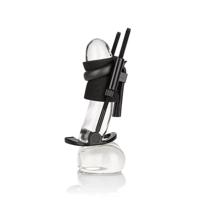 CALEXOTICS - PENIS EXTENDER