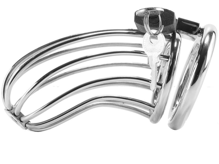METAL HARD - BIRD CHASTITY RING CAGE